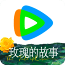 袜元素的真的公司有吗?